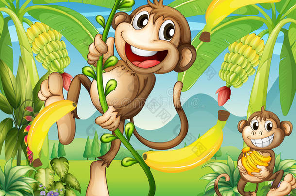 <strong>香蕉</strong>厂附近有两只<strong>猴子</strong>