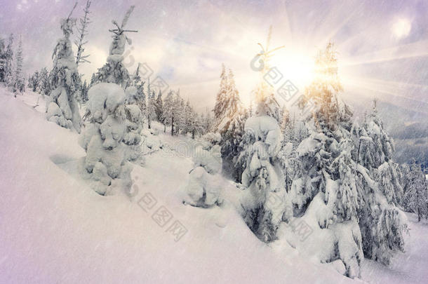 童话冬季森林降雪