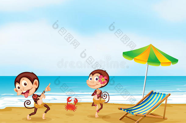 两只猴子和一只小螃蟹在海滩上跳舞