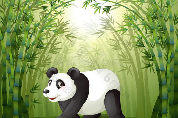 以熊猫为中心的竹林