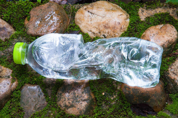 森林小塑料瓶矿泉水