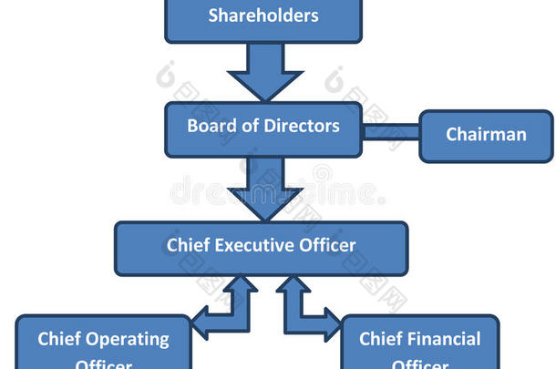 公司结构业务组织结构图