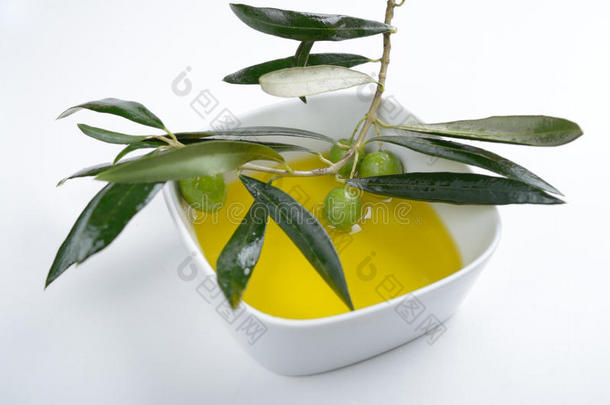 橄揽和橄榄油