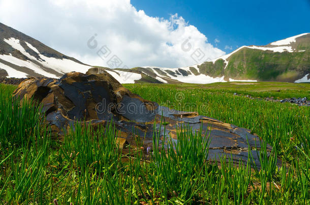 雪山、大石头和草地