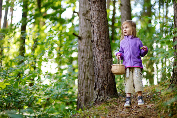 可爱的小女孩在森林里摘浆果
