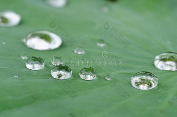 水滴背景