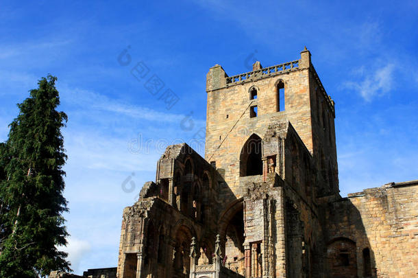 苏格兰杰德堡修道院