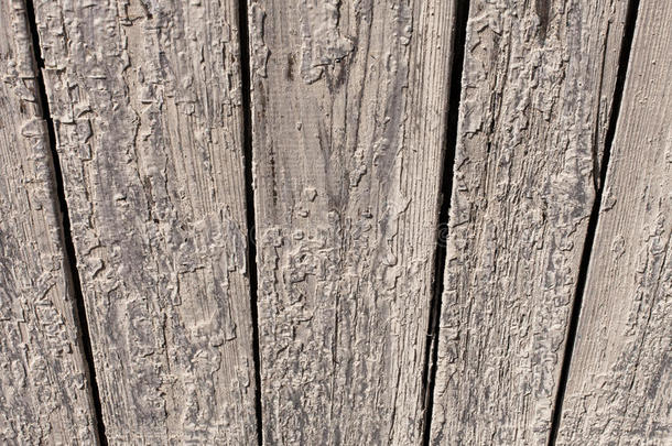 一棵老树的纹理，一块木板上的木制品。