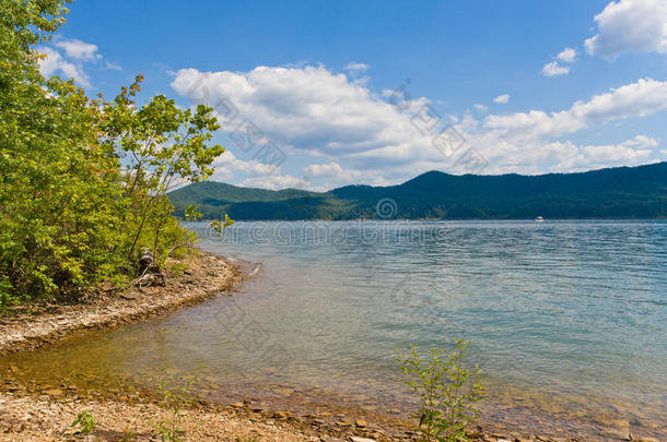 在湖岸欣赏当地湖泊和美丽森林的夏日景色。