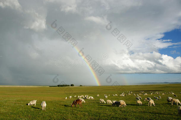 草原上的彩虹