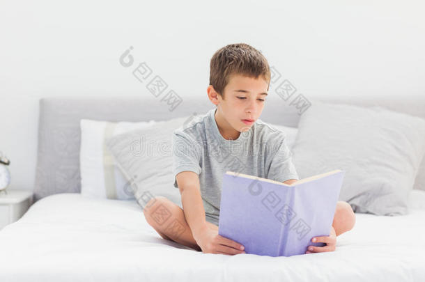 专心坐在床上看书的小男孩