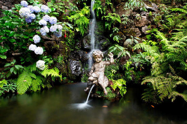 马德拉热带花园的瀑布和喷泉