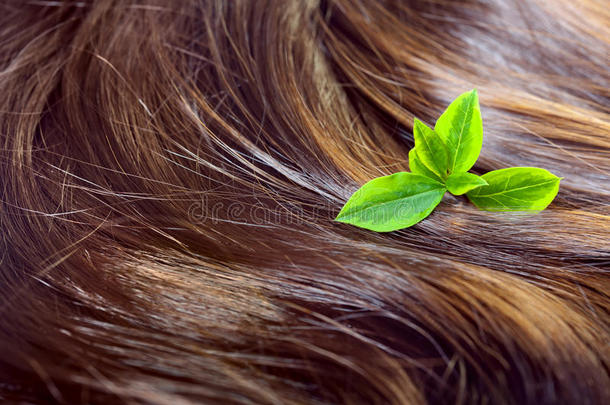 护发理念：亮丽亮丽的秀发加上亮丽的绿叶