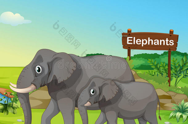 有招牌的小而大的大象