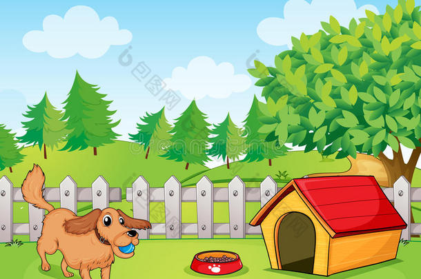 一只狗在篱笆里玩耍