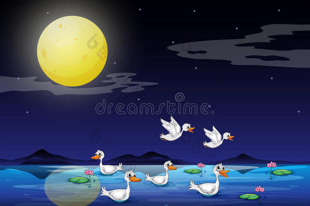 月光下池塘边的鸭子