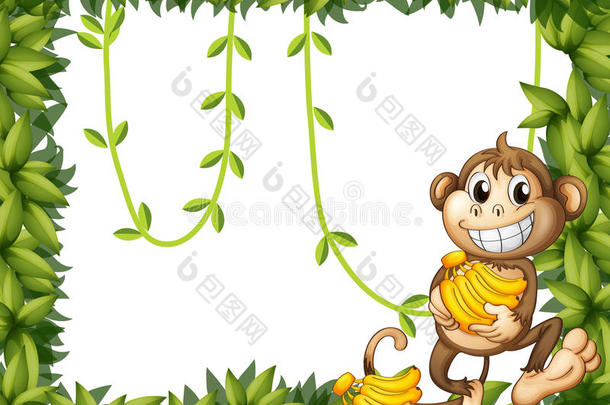 拿着香蕉的快乐猴子