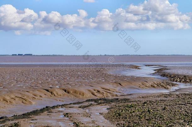 河口向淤泥质海岸流出的水