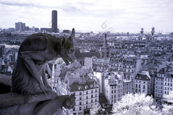 巴黎圣母院，<strong>石像</strong>鬼，最有名的编钟