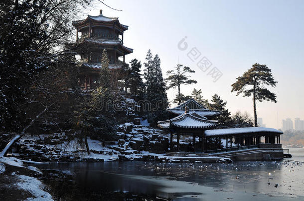 金山区雪