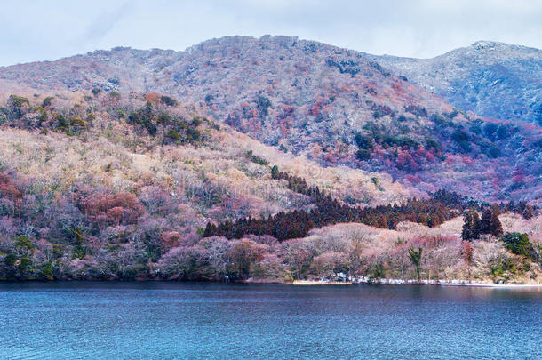 日本阿是湖周围白雪皑皑的景色