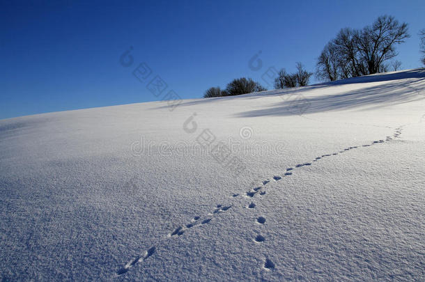 在未受影响的雪景中