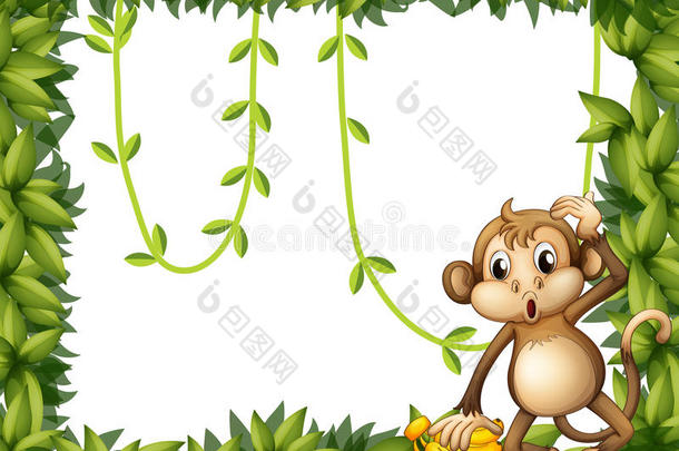 有<strong>猴子</strong>和<strong>香蕉</strong>的树叶架