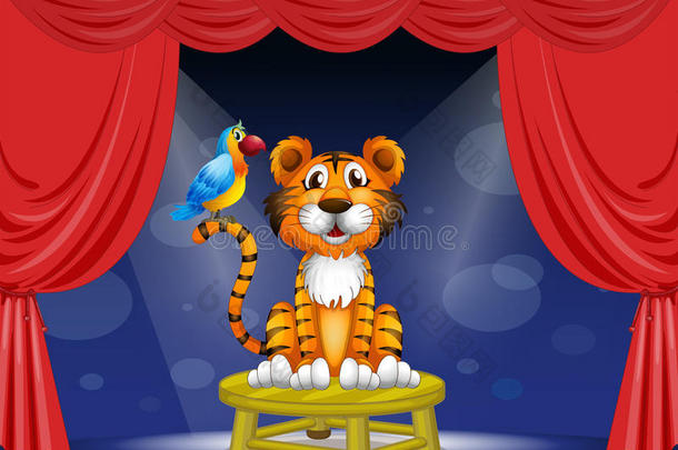 马戏团里的一只老虎和一只鹦鹉