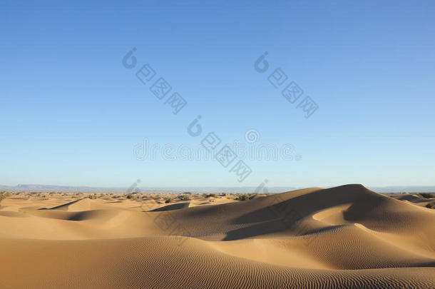 撒哈拉沙漠沙丘，天空湛蓝。