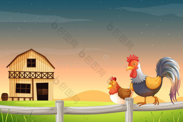 谷仓附近有一只公鸡和一只鸡