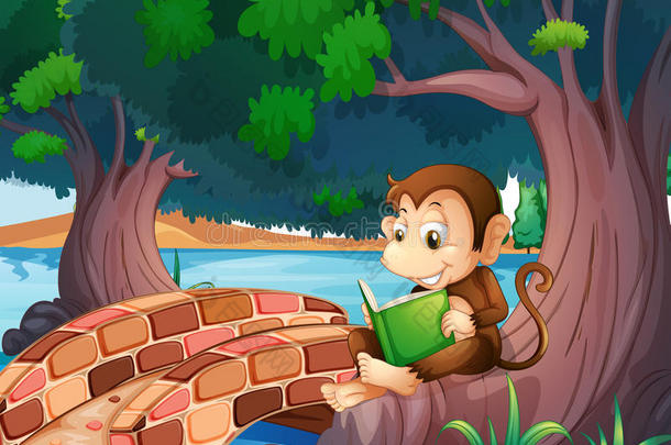 一只猴子在桥边的大树下看书