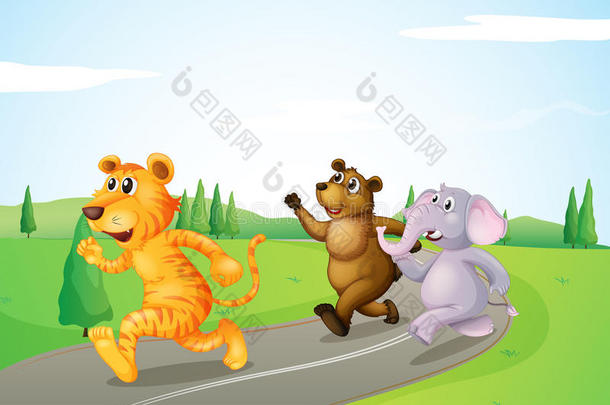 一只老虎、一只熊和一头大象在路上奔跑