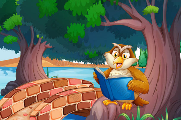 一只猫头鹰在桥边的树下看书