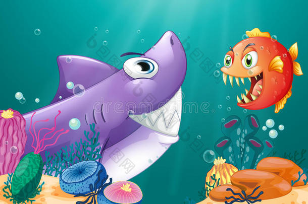 海底的鲨鱼和食人鱼
