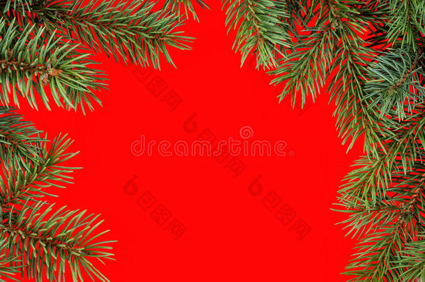 冷杉树枝做成的红色圣诞框架