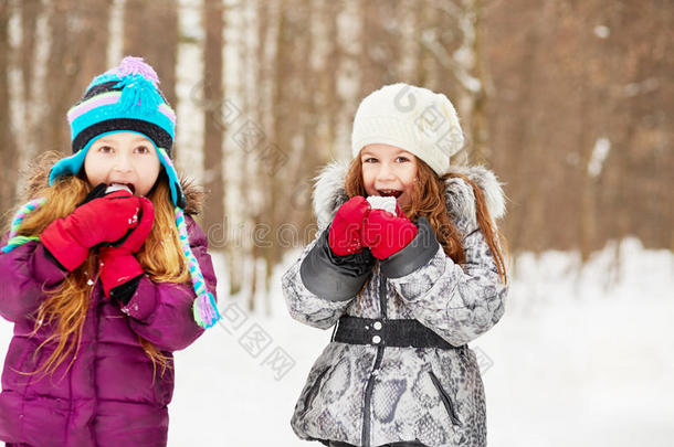 两个女朋友站在冬季公园吃雪球