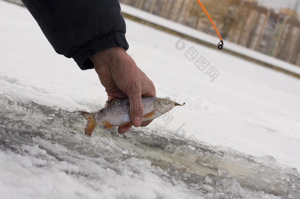 冬季捕鱼