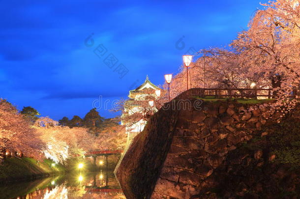 广崎城堡和樱花的灯光