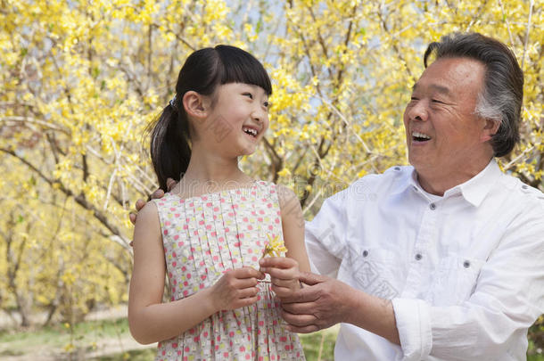 春天，微笑的女孩和她的祖父在公园里看一朵花