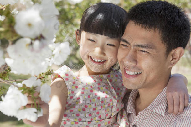 春天，微笑的父女在公园的树上赏樱