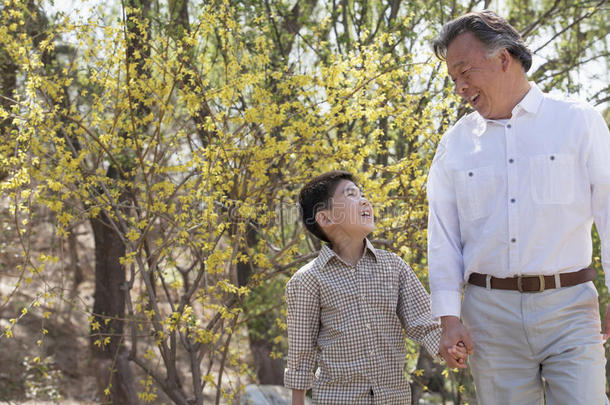 春天，微笑的爷爷和孙子手牵手在公园散步