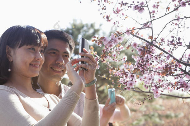 春天，一对微笑的夫妇在公园外拍摄<strong>樱花枝</strong>