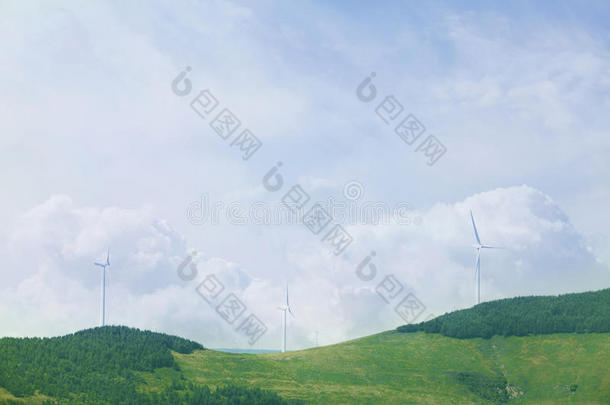 风力涡轮机在郁郁葱葱、绿意盎然、云雾缭绕的景色中。
