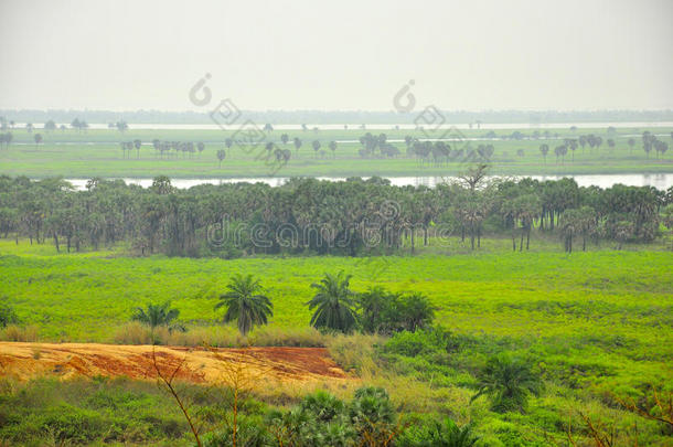 刚果河景观