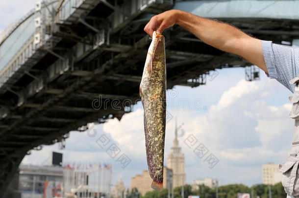 莫斯科瓦河堤上有大鱼的渔夫