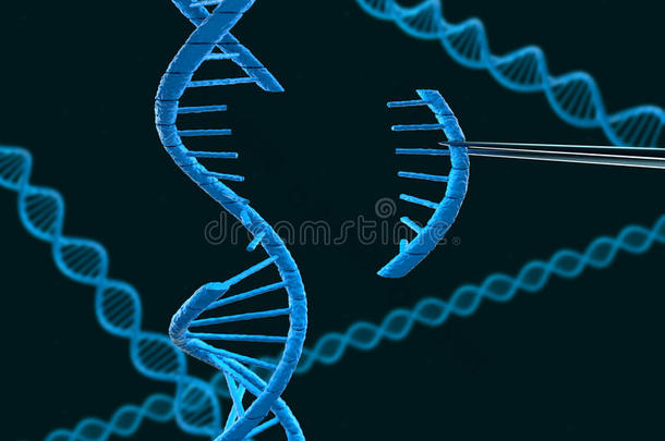 <strong>dna</strong>修饰