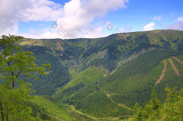 巨山（捷克语：krkonose）、riesengebirge、捷克语、波兰语