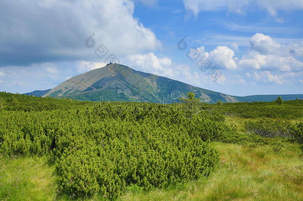 斯内兹卡、施尼科佩、巨山（捷克语：krkonose）、里森格伯奇、捷克语、波兰语