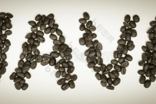 咖啡时间-爪哇豆
