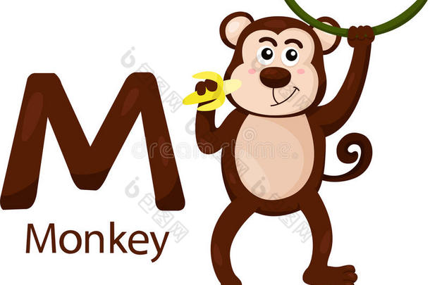 m与猴子插画